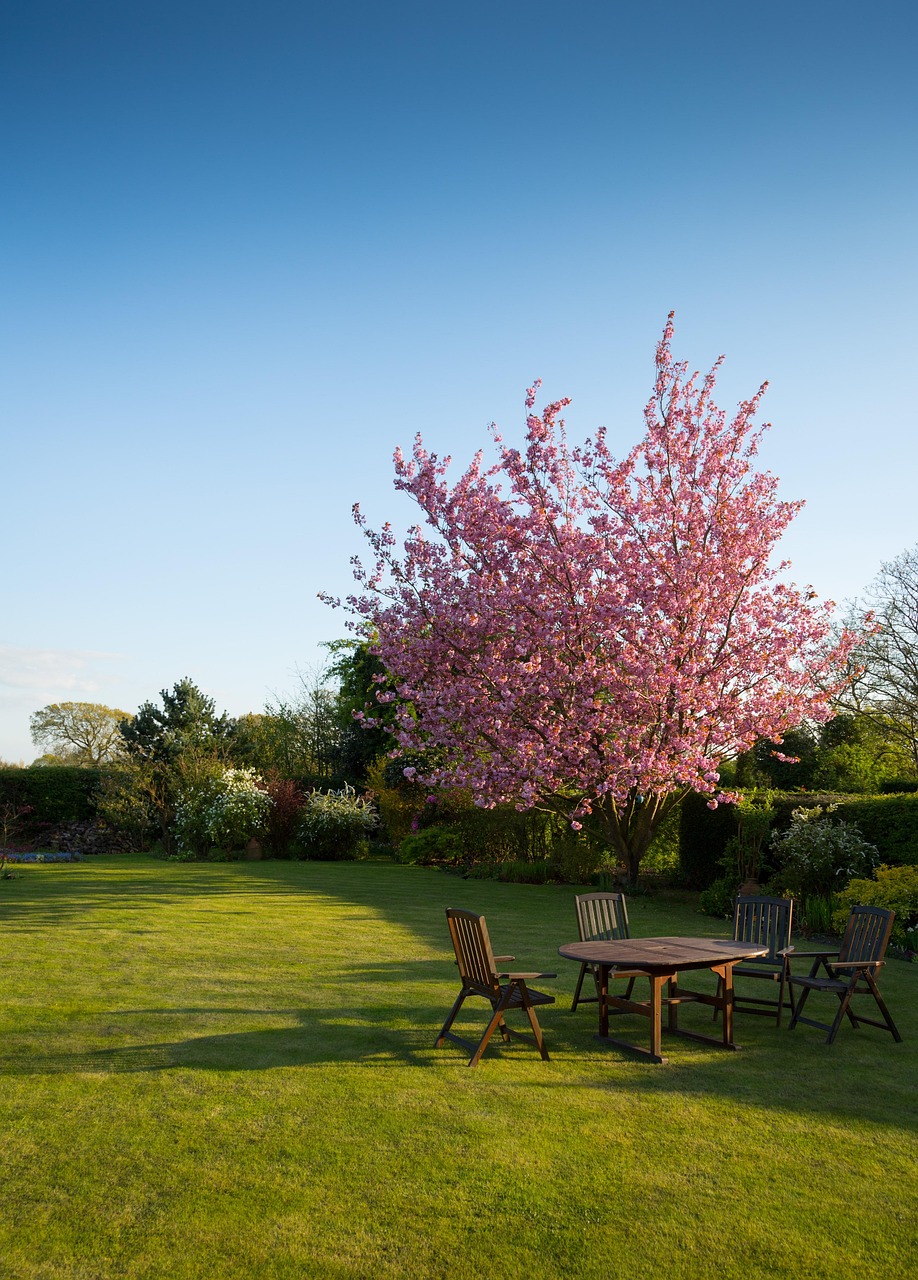 Nature Garden Lawn Free Photo On Pixabay