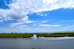 water, coastline, marshland