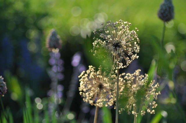 Free End Of Summer Summer photo and picture