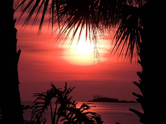 Free Orange Sunset photo and picture