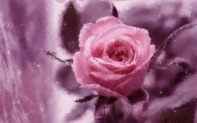 Download free HD stock image of Rose Painting Free rose painting background illustration