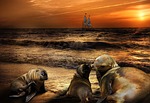 emotions, nature, animals