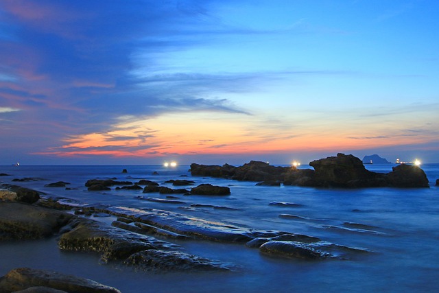 Free Turtle Roar Nature photo and picture