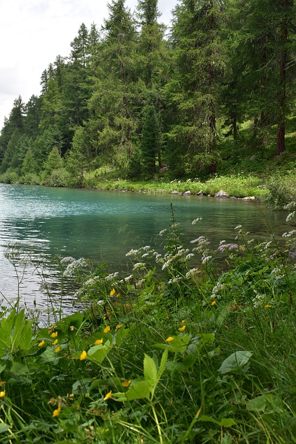 Free Landscape Water photo and picture