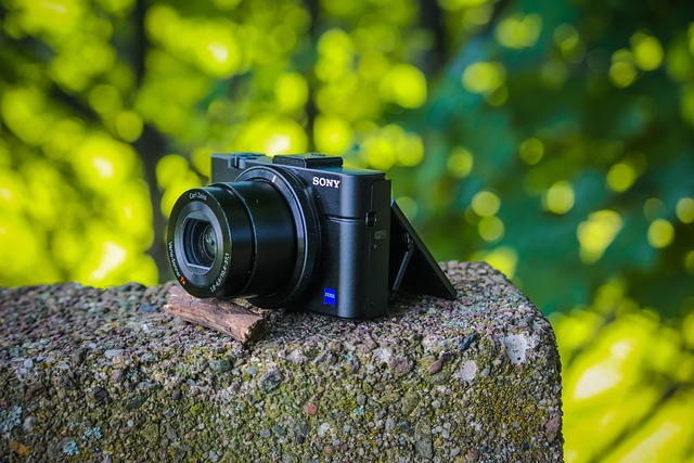 Free Camera Sony photo and picture