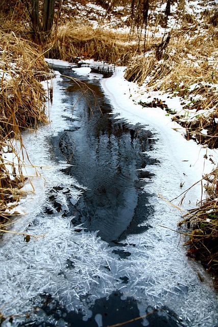 Free River Back On Track photo and picture