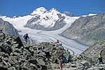 switzerland, eggishorn, panorama
