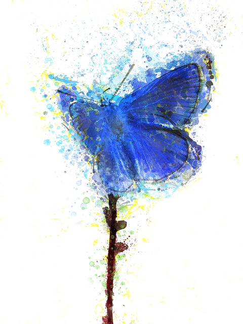 Free Butterfly Blue photo and picture