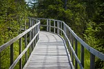 path, footbridge, wooden walkway