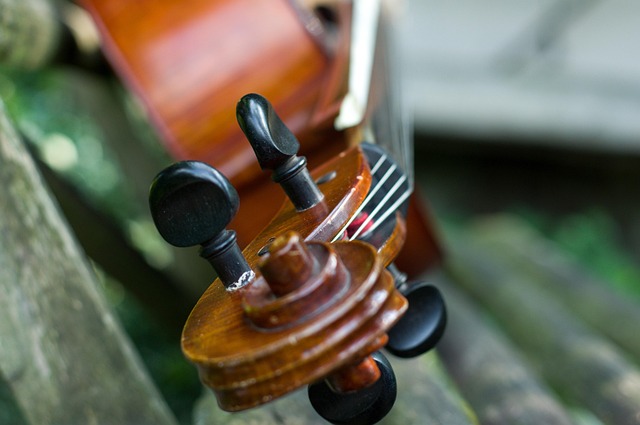 Free Violončello Art photo and picture