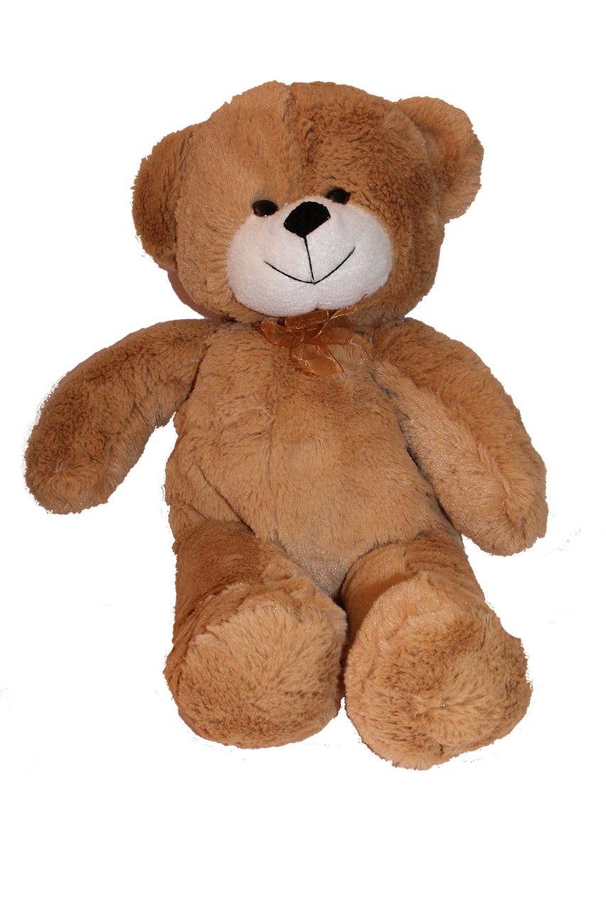 teddy soft