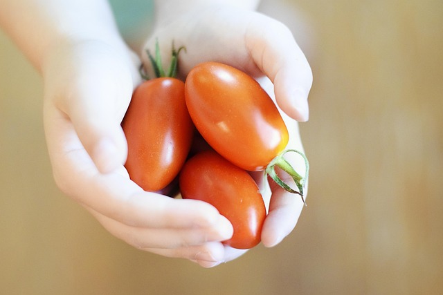 Free Cherry Tomatoes Tomatoes photo and picture