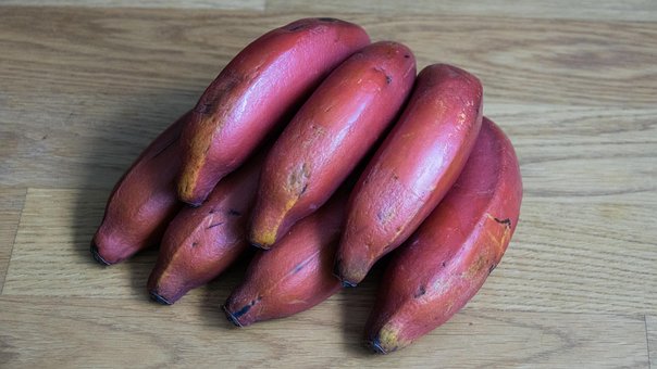 Roșu Banana, Banană, Fructe, Proaspăt