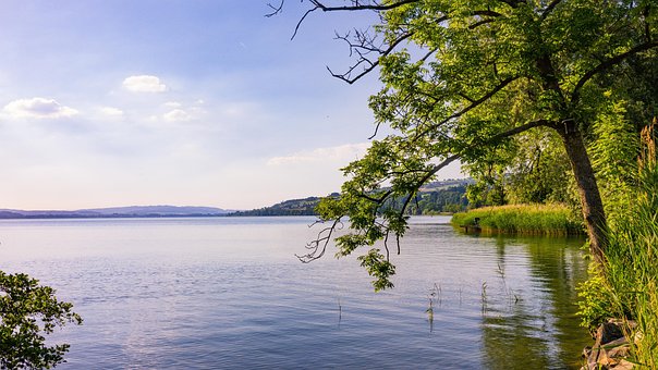 Lac, Flacără, Apă, Natura, Vară