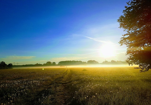 Free Nature Fog photo and picture