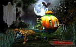 halloween, night, creepy