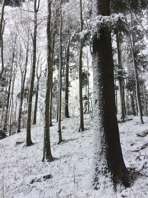 Free Mountain Medvednica photo and picture