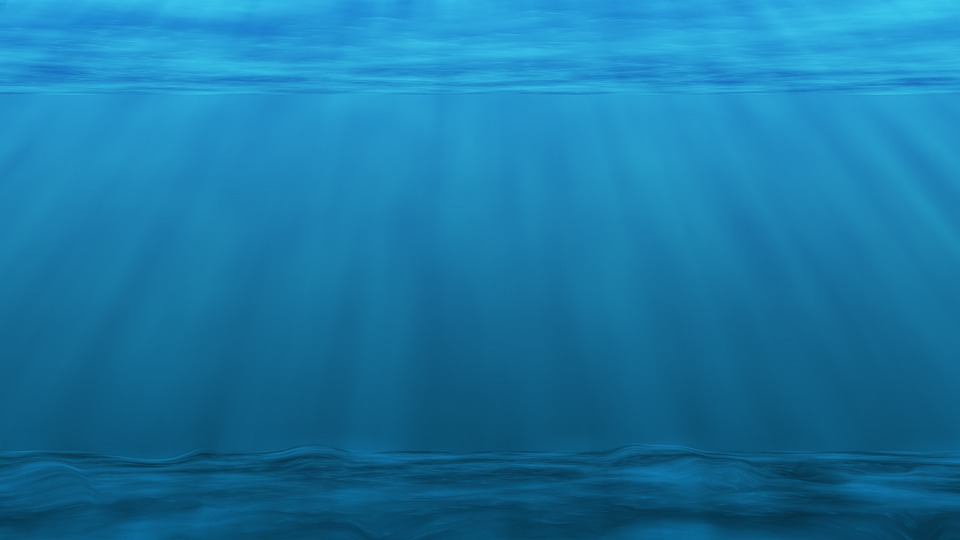 Unterwasser Meer Ozean Plankton Kostenloses Bild Auf Pixabay Unterwasser Meer Ozean Plankton Kostenloses Bild Auf Pixabay