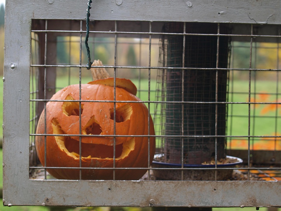 Pumpkin Halloween Face - Free photo on Pixabay