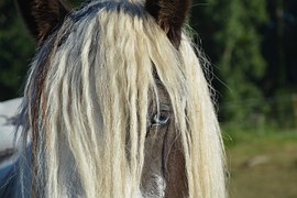 Image result for Danish nordic home decor inspiration - Danish Nordic Home Decor Inspiration