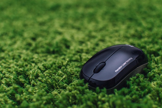 Free Mouse Business photo and picture