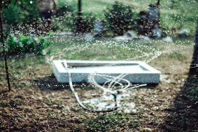 Free Sprinkler Water photo and picture