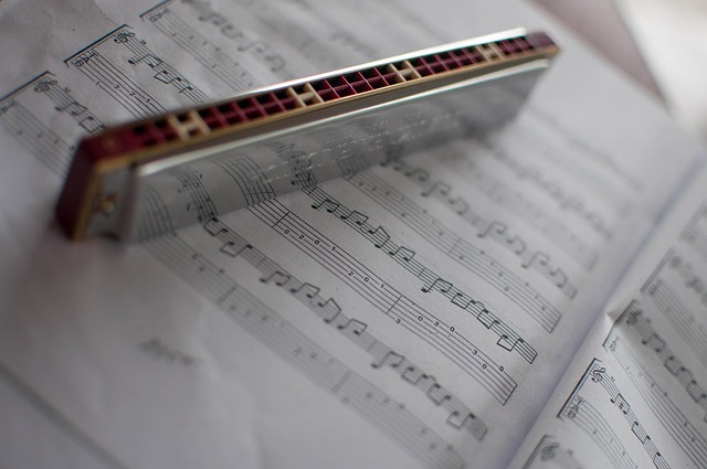 harmonica, music, notes, book, gray book, gray music, gray books, gray note, harmonica, harmonica, harmonica, harmonica, harmonica