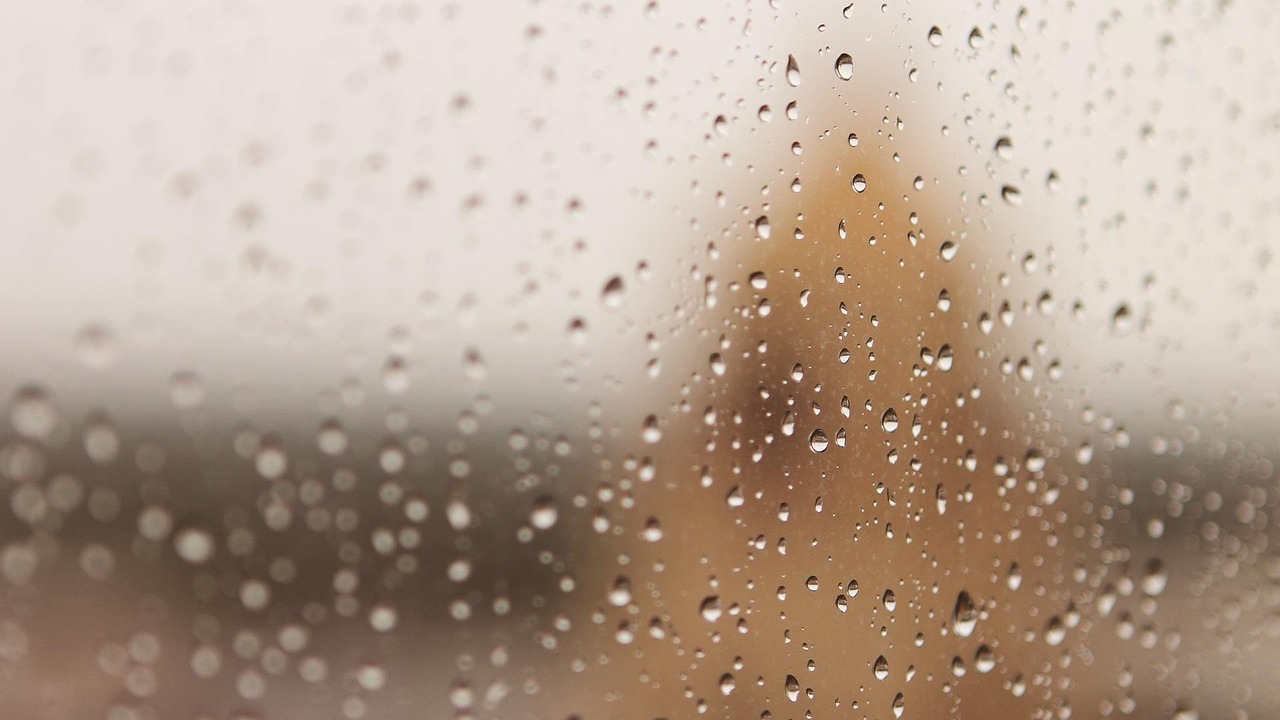 雨 滴 濡れた - Pixabayの無料写真 - Pixabay