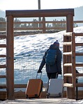 tourist, journey, vacation