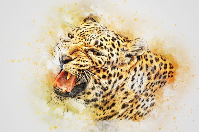 Leopard, Brüllen, Tier, Kunst, Abstrakt