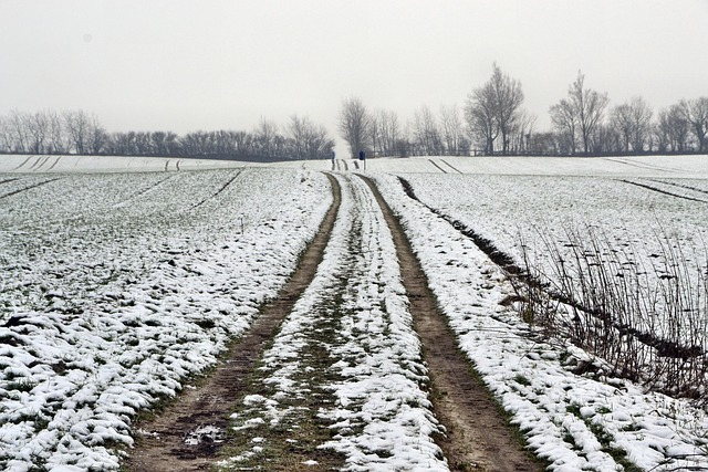 Zandweg, Natuur, Sneeuw, Winter