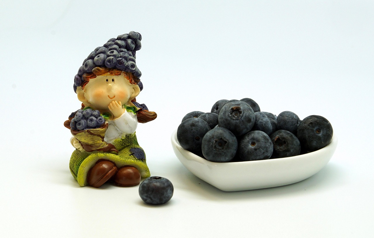 Blueberries - free online jigsaw puzzle photo