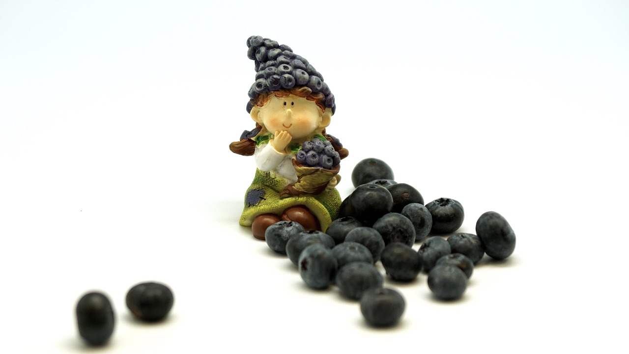 Blueberries - free online jigsaw puzzle photo
