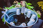 stella artois, beer, wine