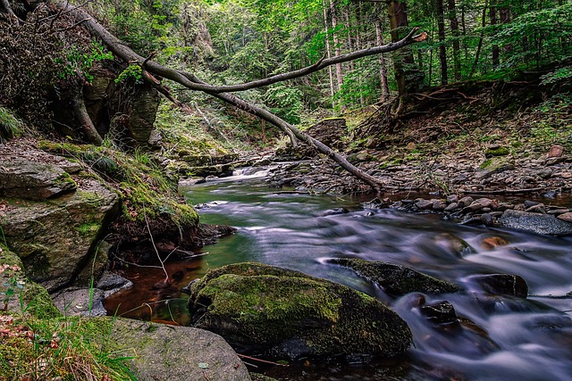 Free Müglitz Water photo and picture