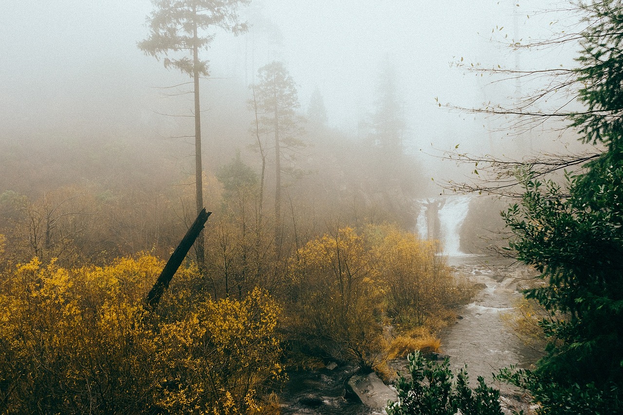 Waterfall - free online jigsaw puzzle photo