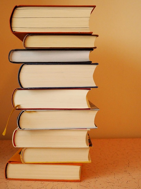 books, stack, book stack, used books, knowledge, stacked, literature, read, a book, bound, cover, bookcase, library, books, books, books, book stack, used books, bookcase, bookcase, library, library, library, library, library