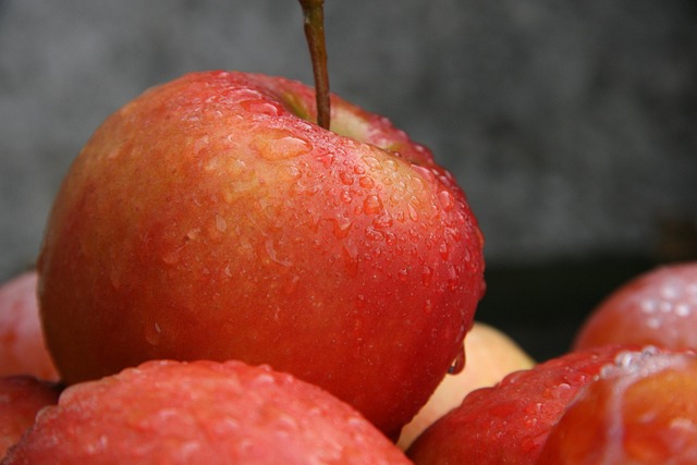 Free Apples Dew photo and picture