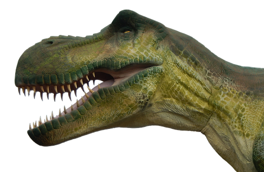 1000以上の無料prehistoric 恐竜画像 Pixabay