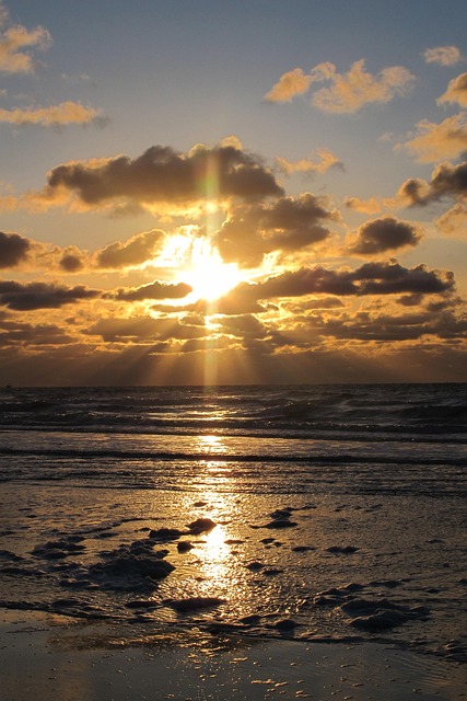 Free Beach Sunset photo and picture