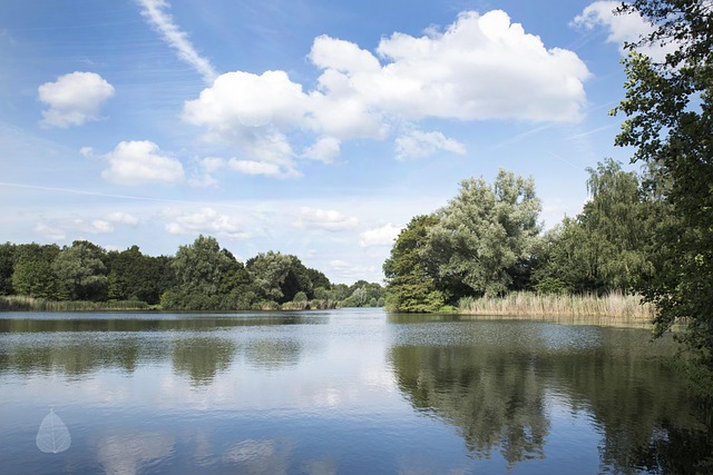Free Pond Water photo and picture