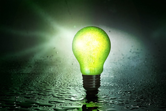 Free Lightbulb Pear photo and picture