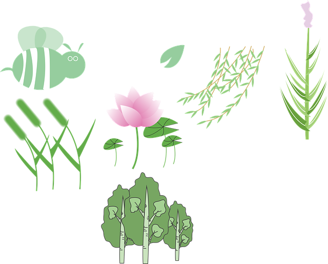 Free plant lotus wicker vector