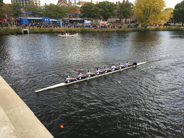 Free Regatta Rowing photo and picture