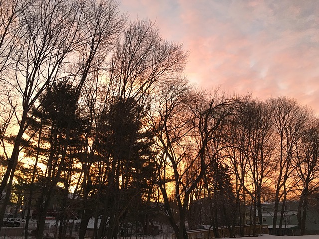 Free Sunrise Morning photo and picture