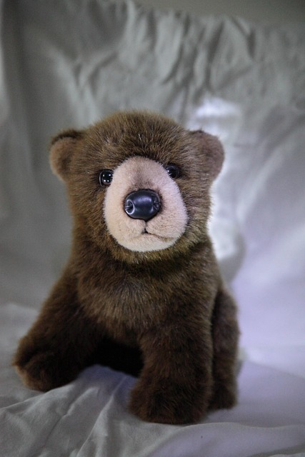 Free Soft Toy Toy Bear photo and picture