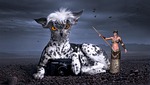 fantasy, mythical creatures, dog