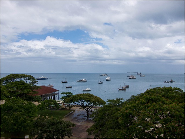 Free Zanzibar Tanzania photo and picture