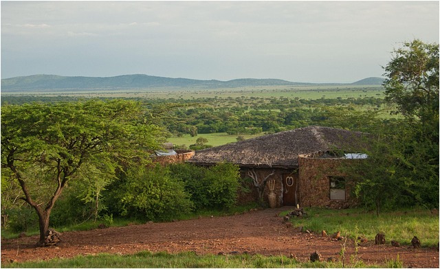 Free Tanzania Serengeti photo and picture