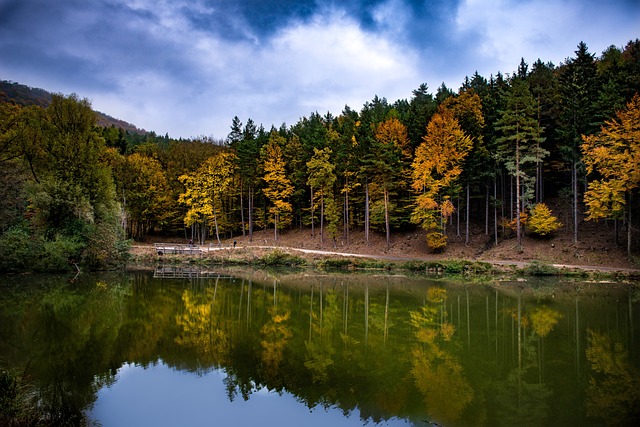 Free Landscape Autumn Color photo and picture